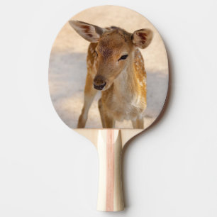 Baby Deer Tischtennis Schläger