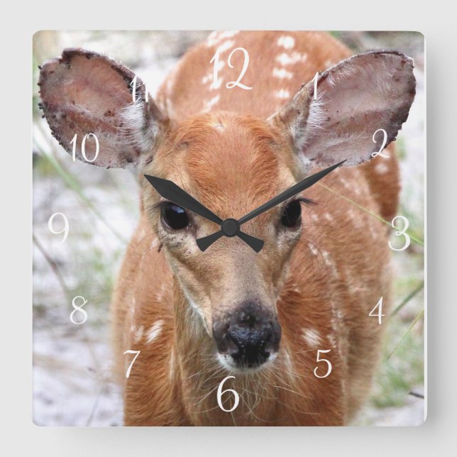 Baby Deer Wall Uhr (Vorderseite)