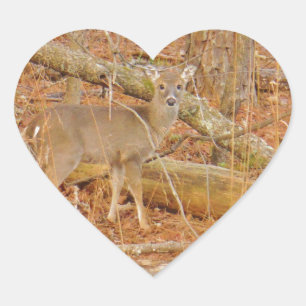 Baby Deer's Erster Winter Herz-Aufkleber