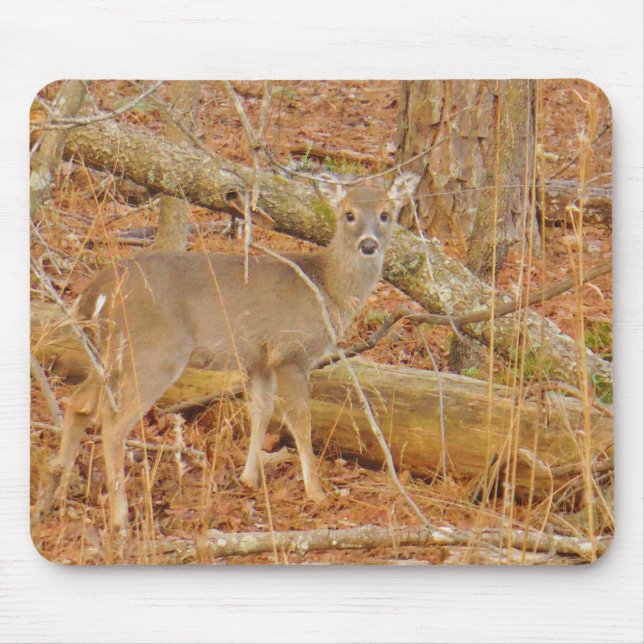 Baby Deer's Erster Winter Mousepad (Vorne)