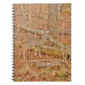 Baby Deer's Erster Winter Notizblock