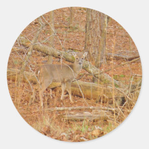 Baby Deer's Erster Winter Runder Aufkleber