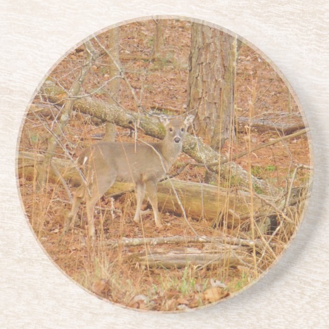 Baby Deer's Erster Winter Sandstein Untersetzer (Vorne)