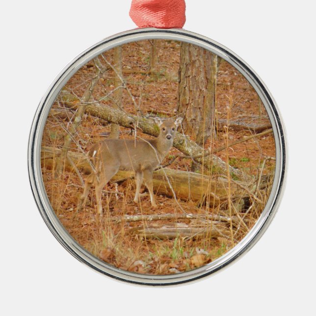 Baby Deer's Erster Winter Silbernes Ornament (Vorne)