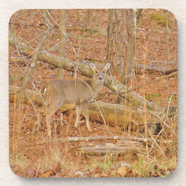 Baby Deer's Erster Winter Untersetzer (Vorderseite)