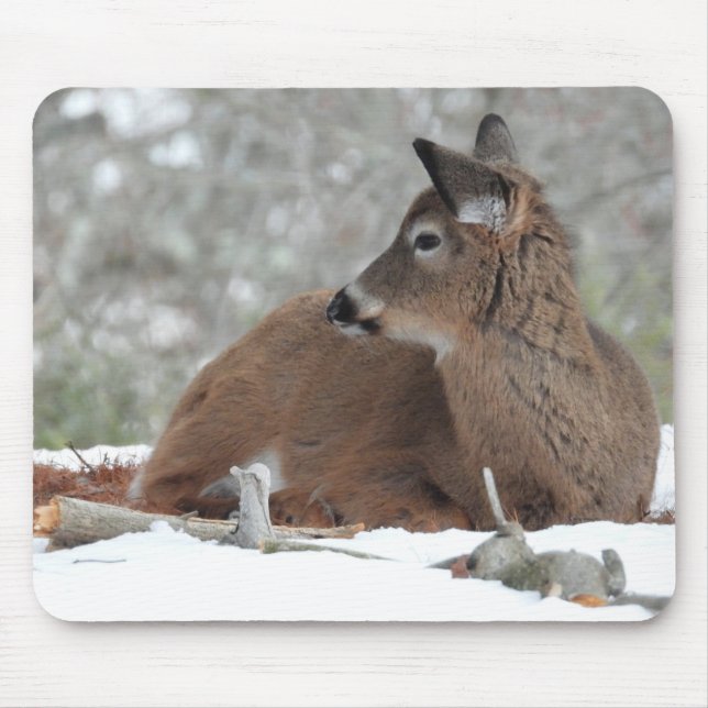 Baby Dei im Wintercoat Mousepad (Vorne)
