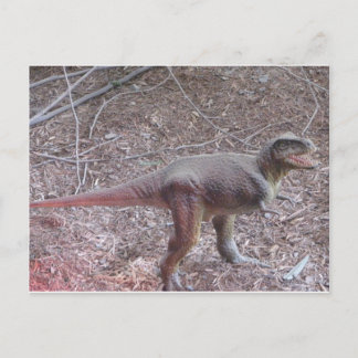 Baby-Dinosaurier Postkarte