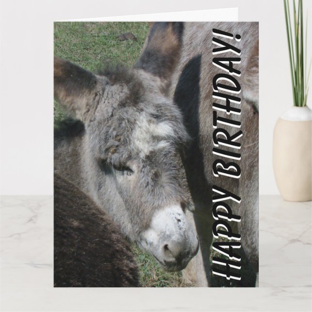 Baby Donkey Birthday Big Grußkarte Karte (Vorderseite)
