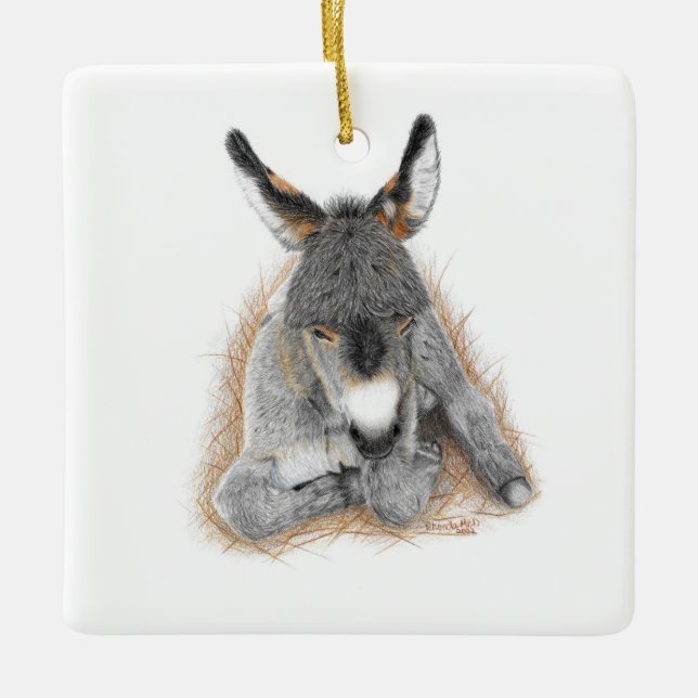 Baby Donkey Square Ornament (Vorderseite)