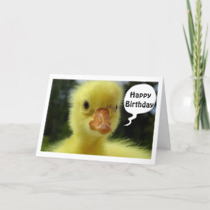 BABY DUCK HOFFT, DASS IHR GEBURTSTAG NUR DUCKY IST KARTE