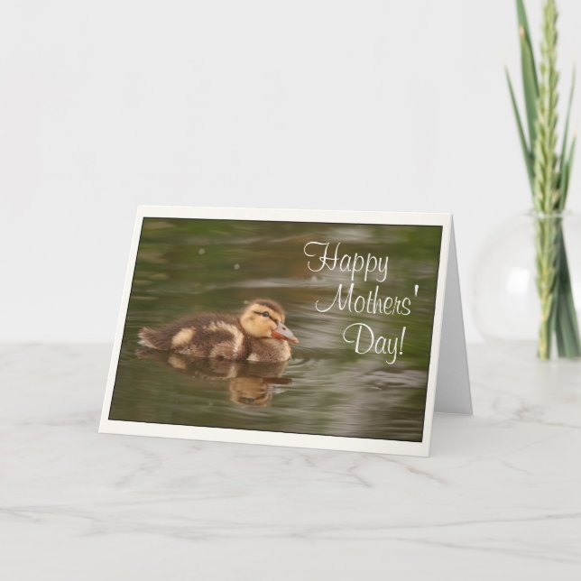 Baby Ducks Ducklings Animals Wildlife Mütter Day Karte (Vorderseite)