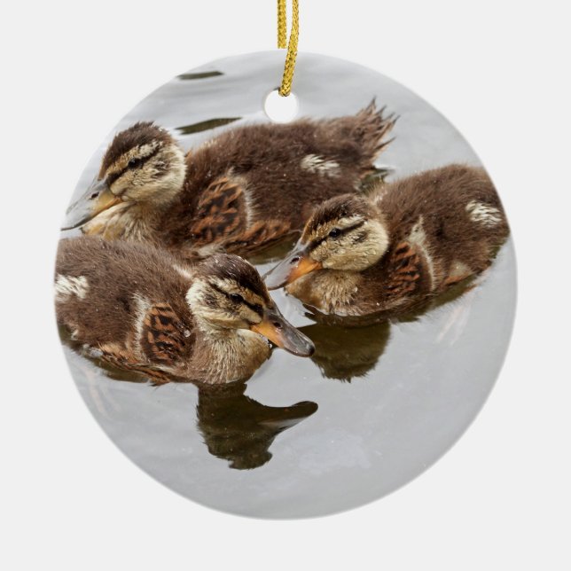 Baby duckt Foto Keramikornament (Vorne)