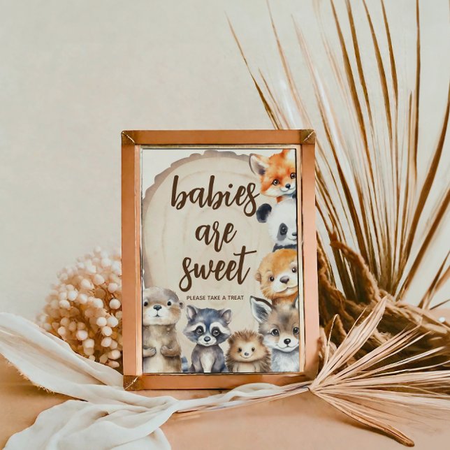 Baby-Dusche Babys sind Sweet Sign Poster (Von Creator hochgeladen)