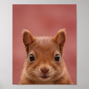 Baby-Eichhörnchen-Porträt-Nursery-Wandkunst Poster