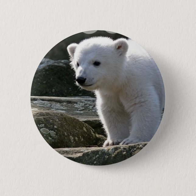 Baby-Eisbär-Knopf Button (Vorderseite)
