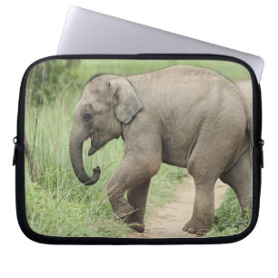 Baby-Elefant folgt der Mutter,Corbett Laptopschutzhülle