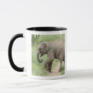 Baby-Elefant folgt der Mutter,Corbett Tasse
