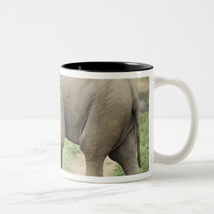 Baby-Elefant folgt der Mutter,Corbett Zweifarbige Tasse