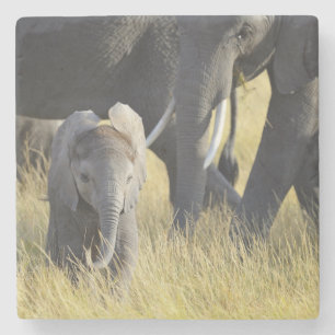 Baby-Elefant Steinuntersetzer