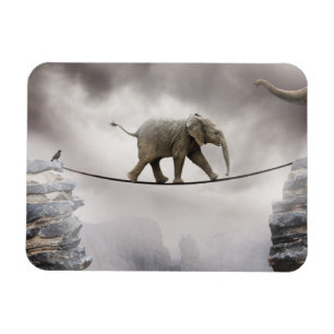 Baby-Elefant-Wege das Drahtseil Magnet