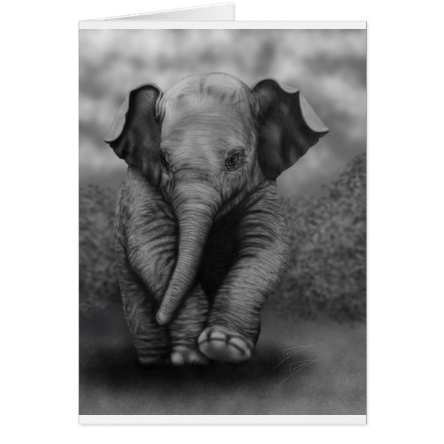 Baby Elephant (Vorne)