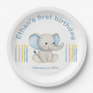 Baby Elephant 1. Geburtstag Blue Watercolor Pappteller