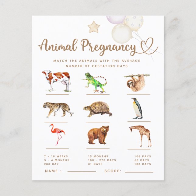 Baby Elephant Baby Showgame (Vorderseite)