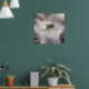 Baby Elephant geht durch die Tightrope Poster (Living Room 1)