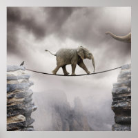 Baby Elephant geht durch die Tightrope