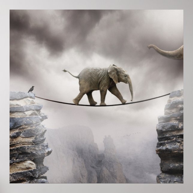 Baby Elephant geht durch die Tightrope Poster (Vorne)