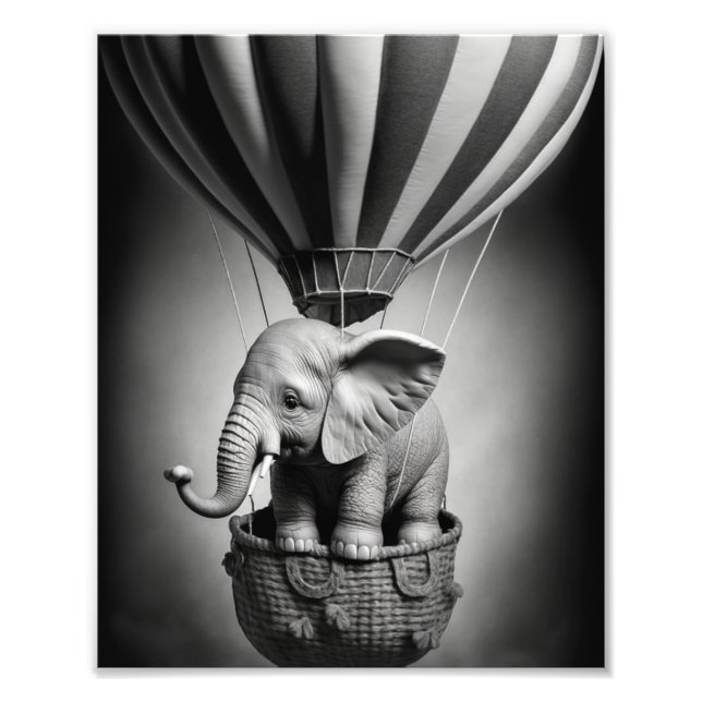 Baby Elephant in einem Heißluftballon Fotodruck (Vorne)