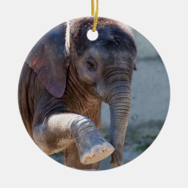 Baby Elephant Keramik Ornament (Vorne)