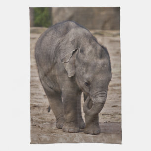 Baby Elephant Kitchen Handtuch