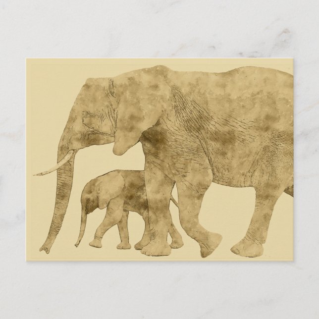 Baby Elephant mit Mutter Postkarte (Vorderseite)