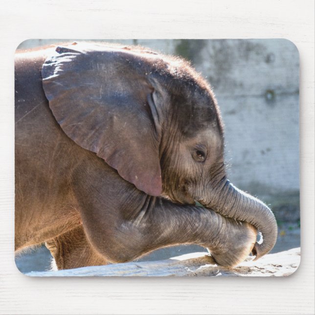 Baby Elephant Mousepad (Vorne)