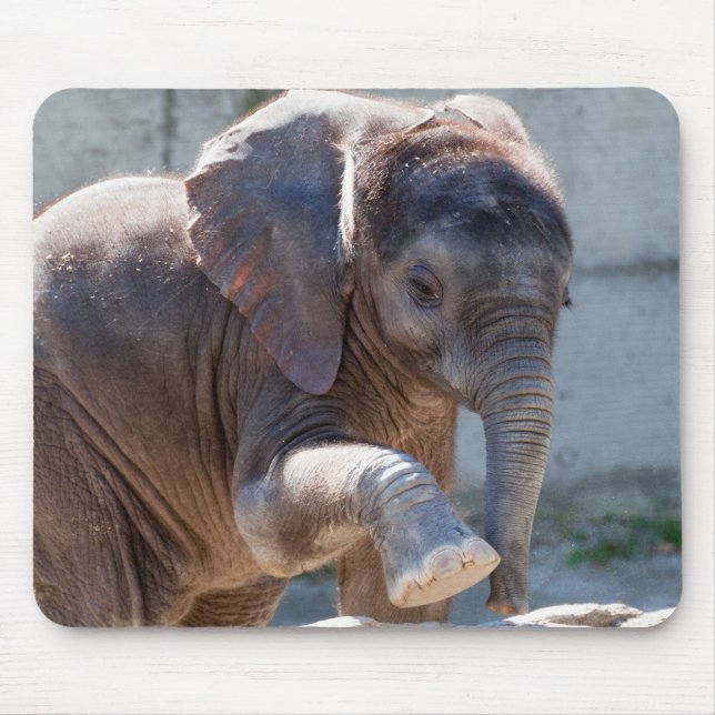 Baby Elephant Mousepad (Vorne)