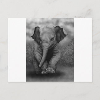 Baby Elephant Postkarte