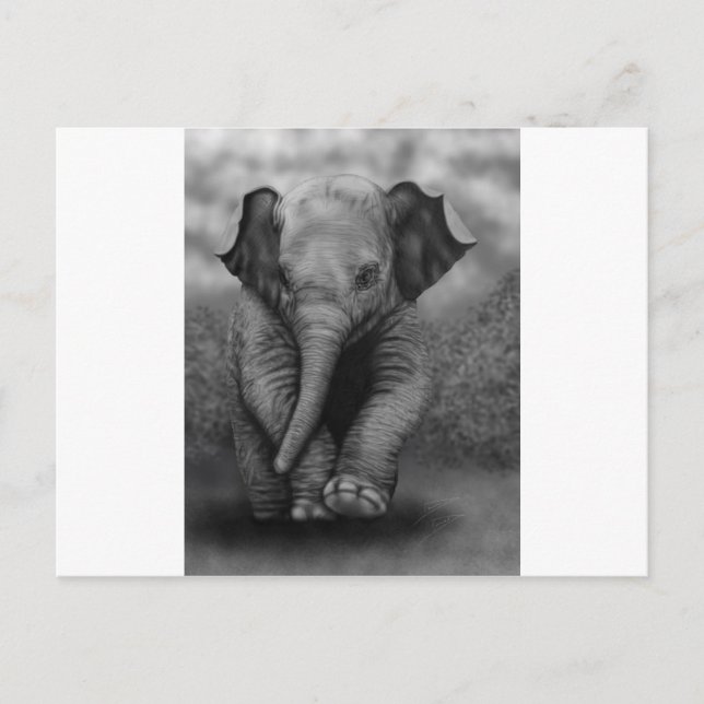 Baby Elephant Postkarte (Vorderseite)