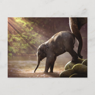 Baby Elephant's First Bath Postcard Postkarte