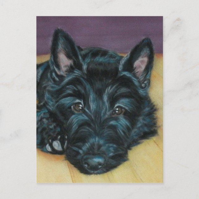 'Baby Em' - Scottie puppy Postkarte (Vorderseite)