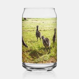 Baby Emu Chicks und Big Foot, Dosenglas