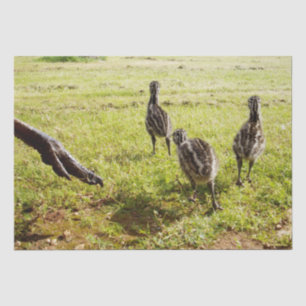 Baby Emu Chicks und Big Foot, Seidenpapier
