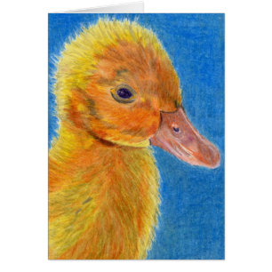 Baby-Ente