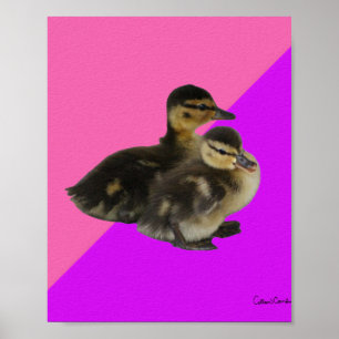 Baby Enten auf rosa Himbeer und violetter Sorbet Poster