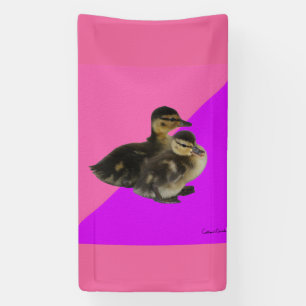 Baby-Enten auf rosa Himbeere und violetter Sorbet Banner