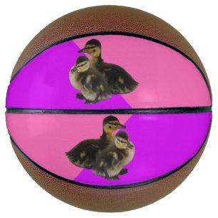 Baby-Enten auf rosa Himbeere und violetter Sorbet Basketball
