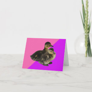 Baby-Enten auf rosa Himbeere und violetter Sorbet Karte