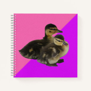 Baby-Enten auf rosa Himbeere und violetter Sorbet Notizbuch