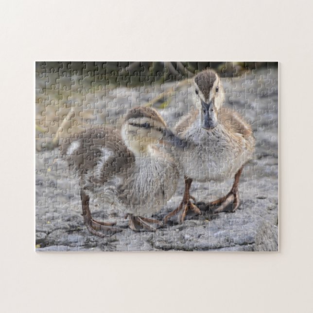 Baby-Enten Puzzle (Horizontal)