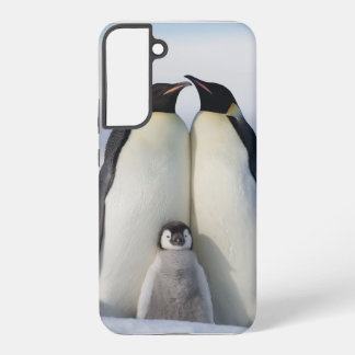 Baby, es ist kalt draußen Pinguin Samsung Galaxy C Hülle